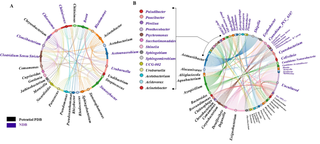 ML study: nanoplastic